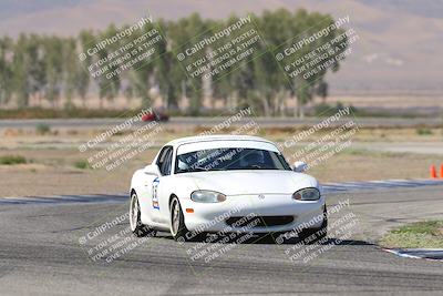 media/Oct-04-2025-OnGrid (Sat) [[44bd565ffa]]/Purple Group/Sunrise/